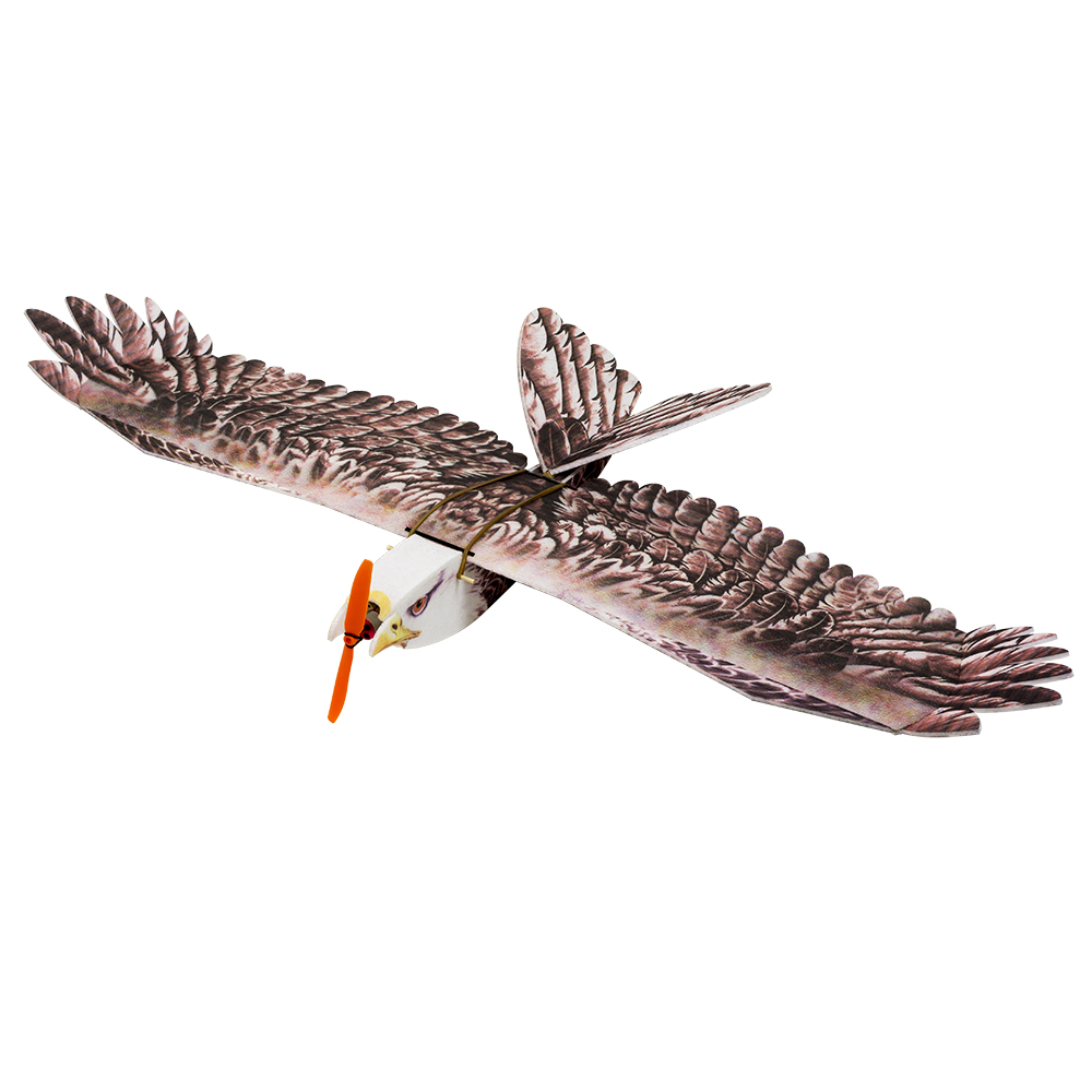 DW هوبي إيجل II EPP طائرة طائر - مراجعة Rc Hobby Online وسعره
