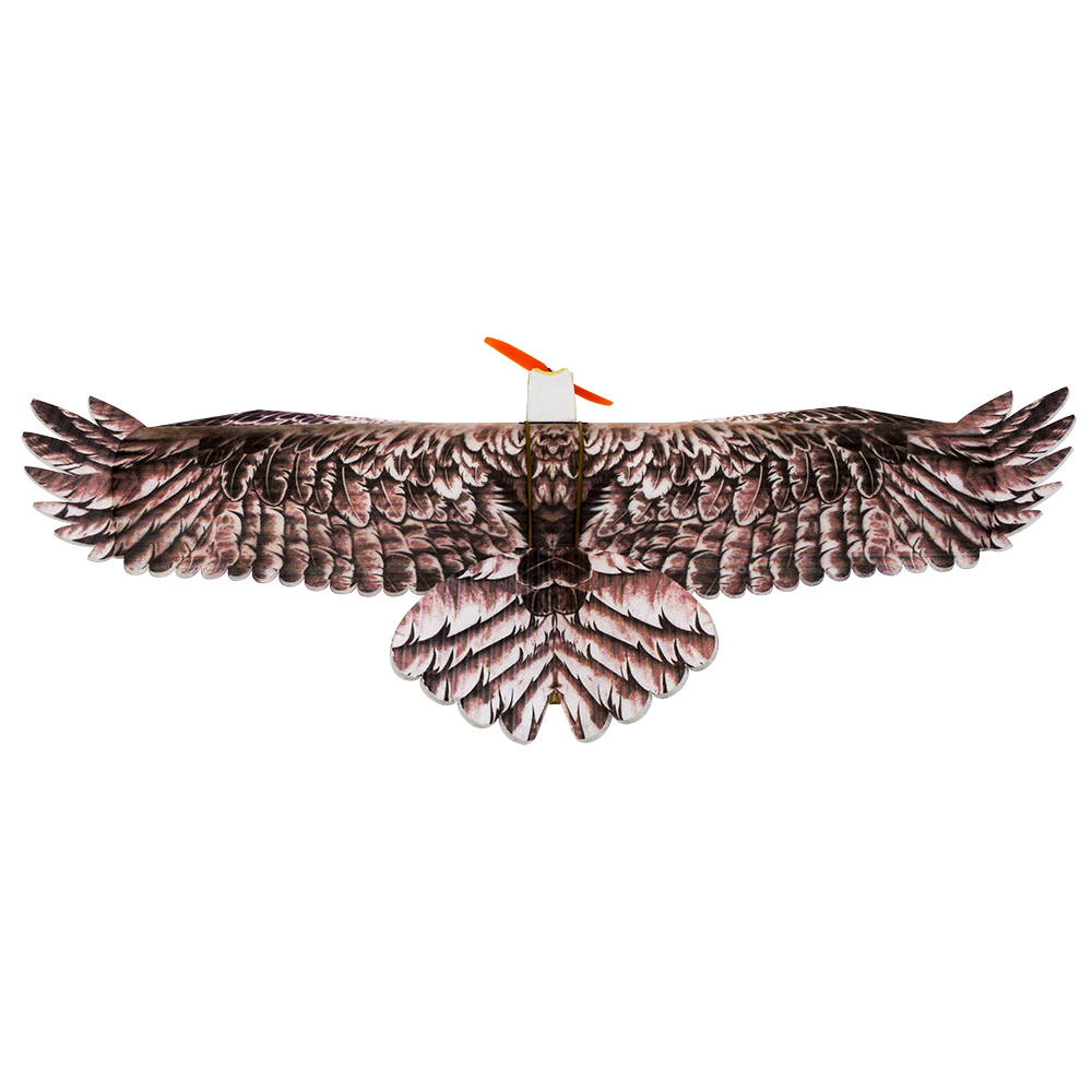 DW هوبي إيجل II EPP طائرة طائر - مراجعة Rc Hobby Online وسعره